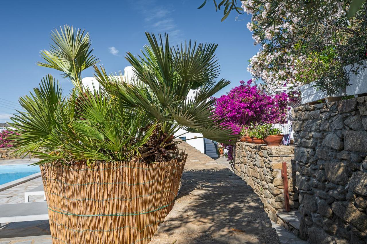 Casa Cozy Villa Mykonos Town Dış mekan fotoğraf