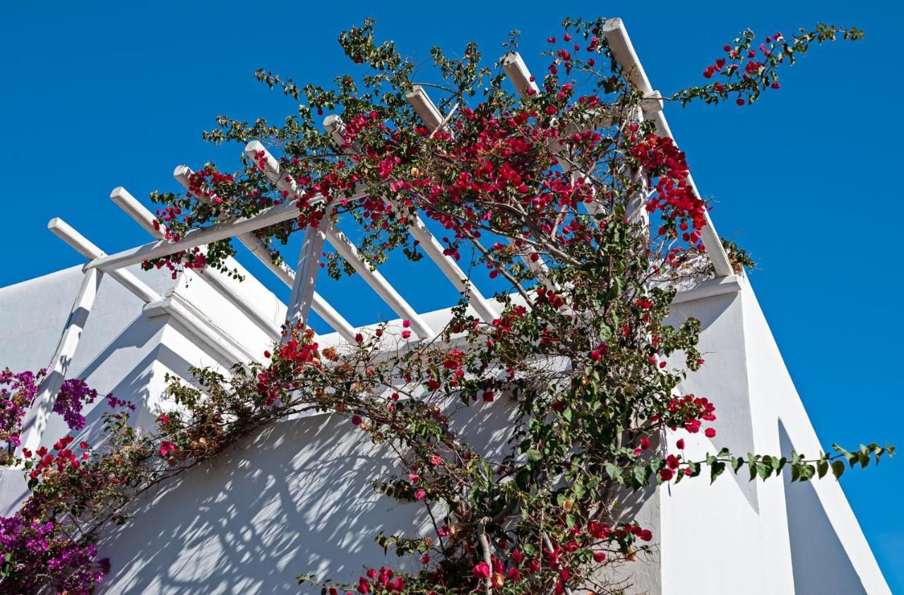 Casa Cozy Villa Mykonos Town Dış mekan fotoğraf