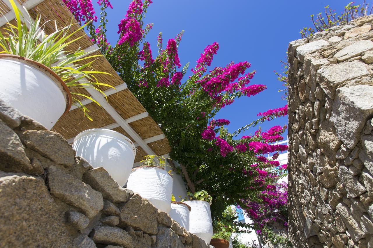 Casa Cozy Villa Mykonos Town Dış mekan fotoğraf